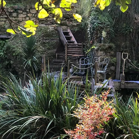 Watermill Guest 3*